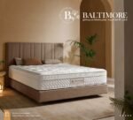 مرتبة Baltmore
