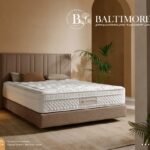 مرتبة Baltmore