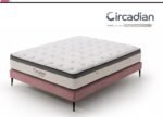 ⁦مرتبة Circadian⁩ - الصورة ⁦2⁩