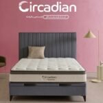 مرتبة Circadian