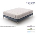 ⁦مرتبة Harper⁩ - الصورة ⁦3⁩